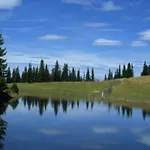 In Near