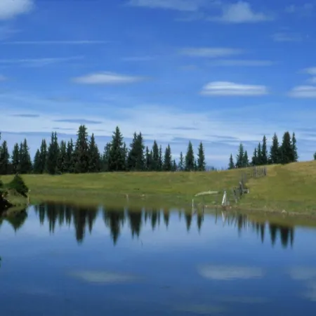 In Near アパート アフリッツ